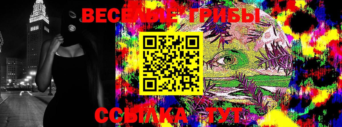 Миасс  купить  цена  Вход с VPN  Псилоцибиновые грибы ЛСД 